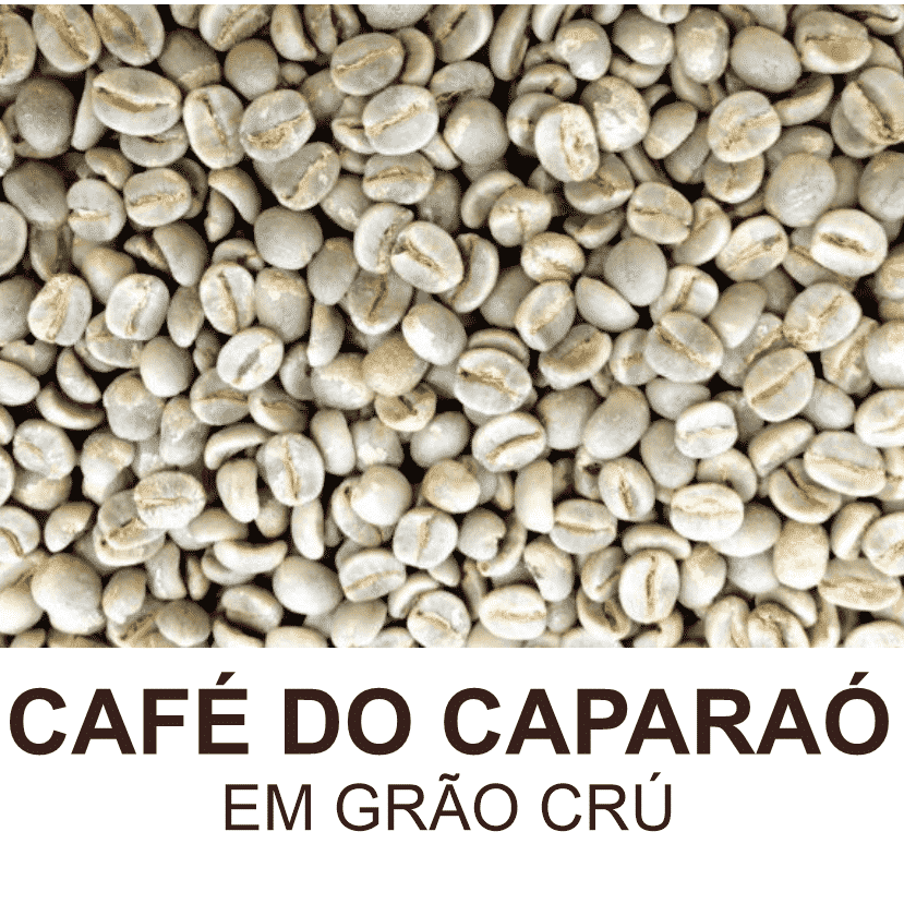 Café do Caparaó em Grão Crú 1kg – Marketplace Triibo